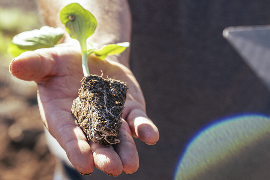 1slidecumpliendobjetivos