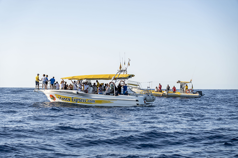 1excursionesmaritimas