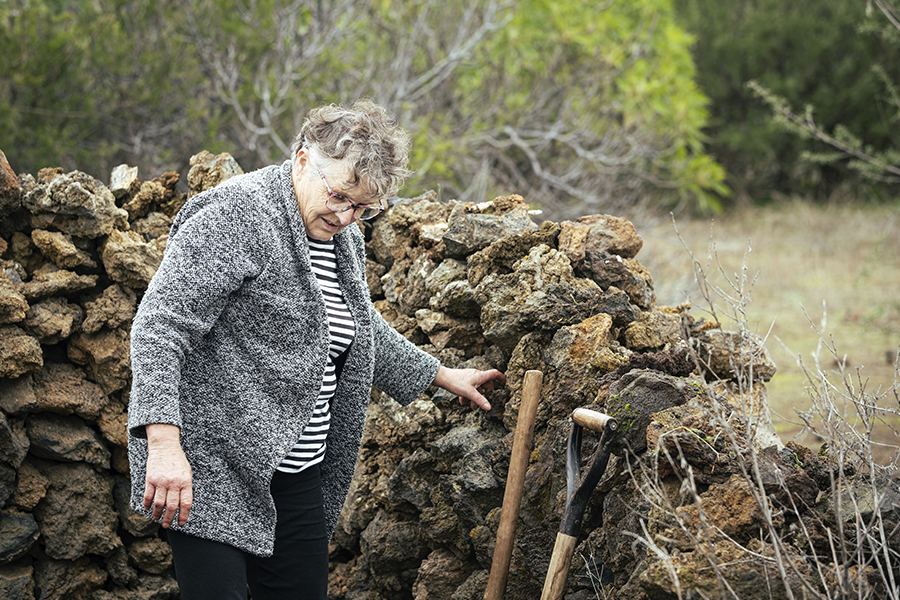 SDTree - @VisitSantiagoDelTeide